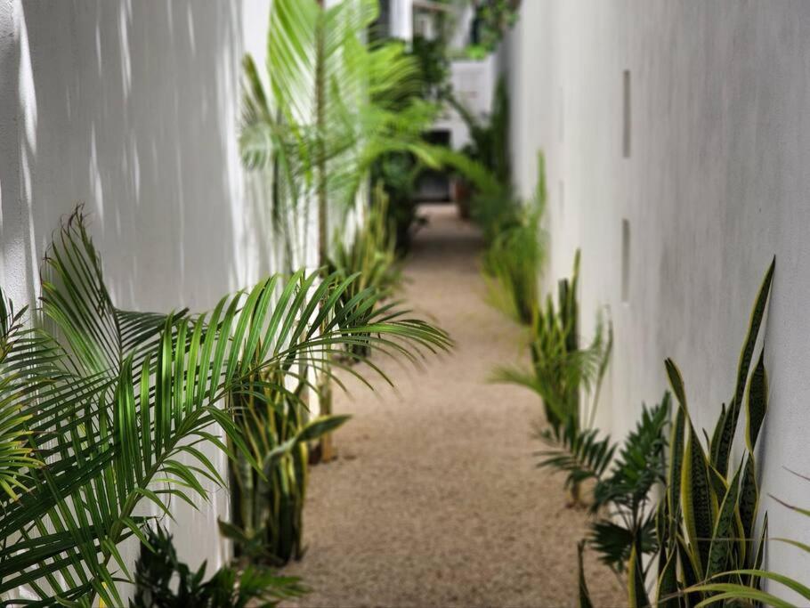 Amazing Jungle Retreat Lahkah Tulum Apartment Luaran gambar