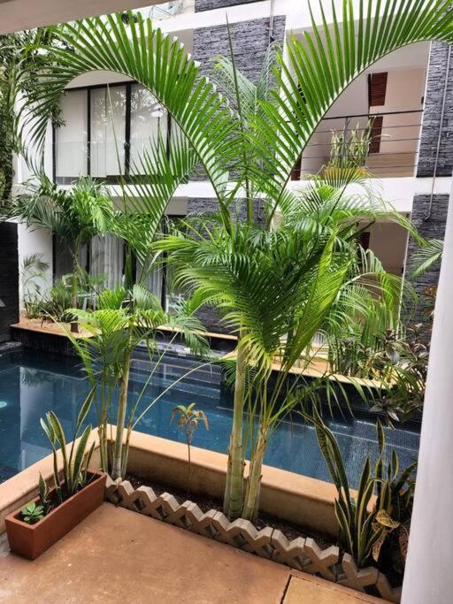 Amazing Jungle Retreat Lahkah Tulum Apartment Luaran gambar