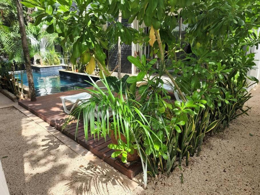 Amazing Jungle Retreat Lahkah Tulum Apartment Luaran gambar